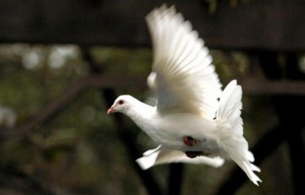 古代五种通信方式有哪些