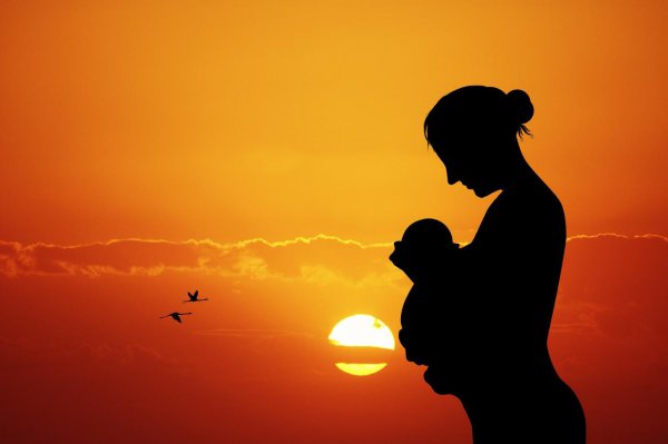 史铁生写的《秋天的怀念》主要内容