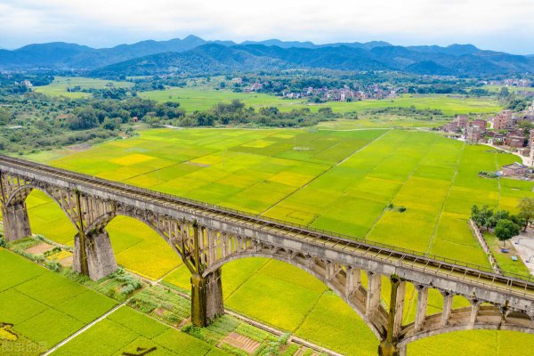 罗定属于广东哪个市