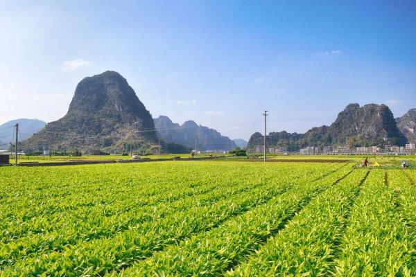 罗定属于广东哪个市