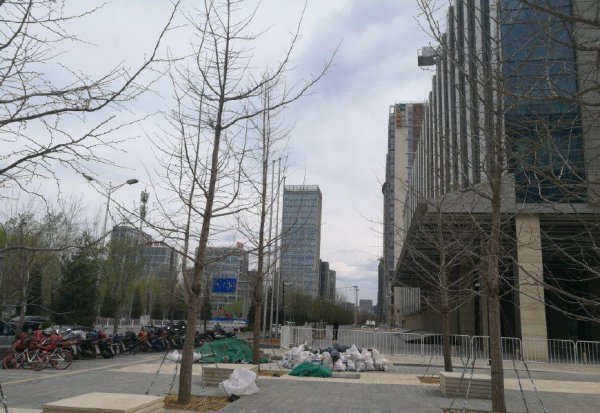 北京市酒仙桥属于哪个区管辖