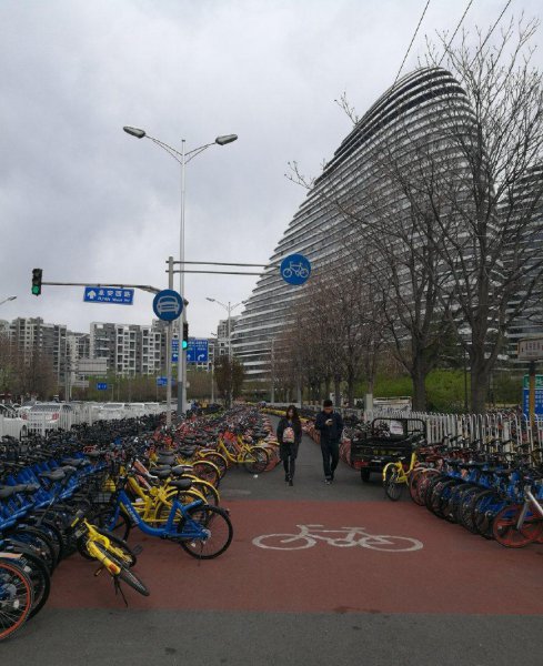 北京市酒仙桥属于哪个区管辖