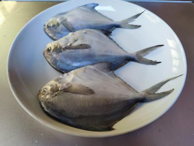 最好吃的海鱼排行榜前十名 常见6种好吃的海鱼图片