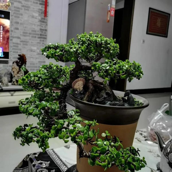 用什么改良酸性土壤