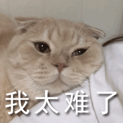 猫尾巴的语言有哪些种类