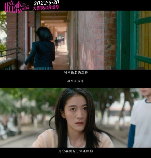 盛淮南洛枳结局是什么样的