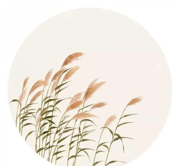 吹梦到西洲歌词解析