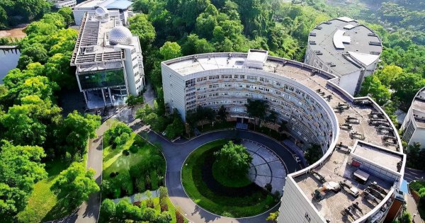 西南大学美术生好考吗