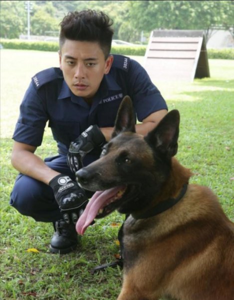 关于警犬的电视剧推荐