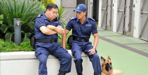 关于警犬的电视剧推荐