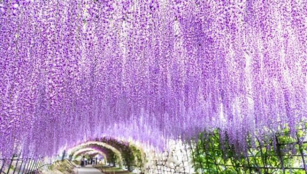 世界风景最美的地方在哪个国家