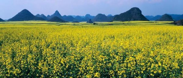 世界风景最美的地方在哪个国家