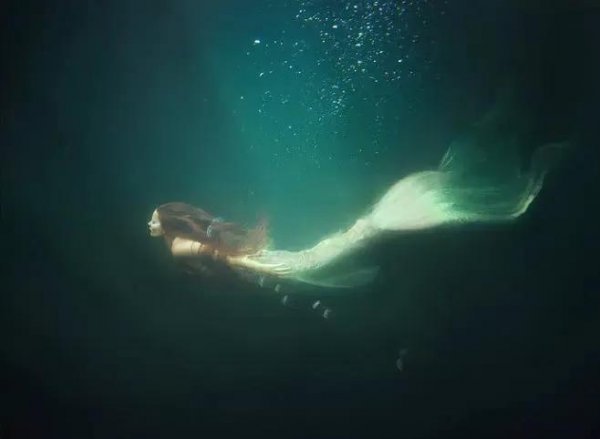 美人鱼是哪种海洋动物类型