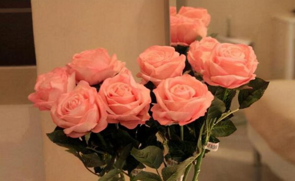 玫瑰花如何延长保鲜时间