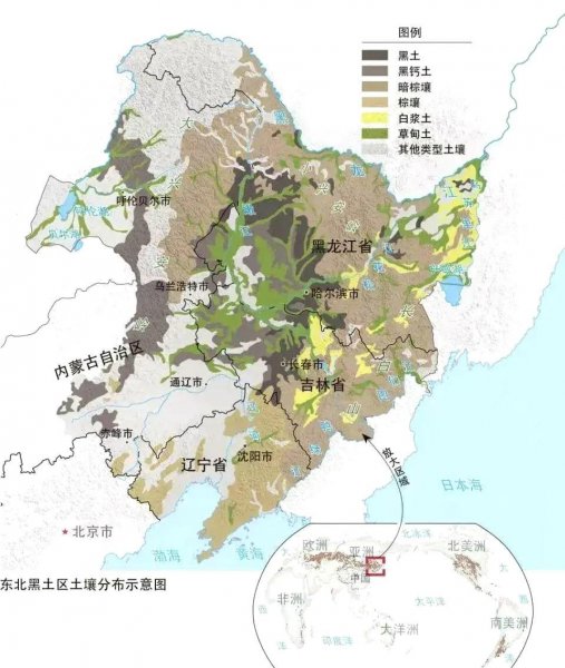 中国黑土地指的是什么地方