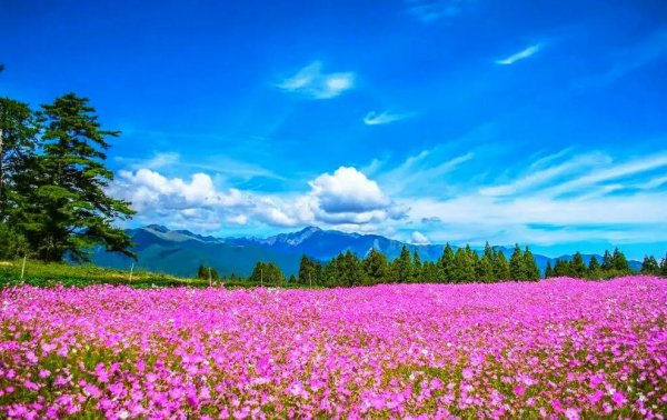 东莞十大免费景区推荐
