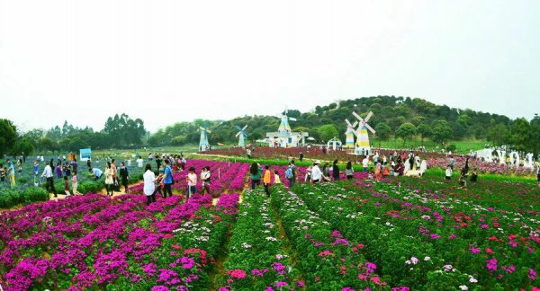 东莞十大免费景区推荐