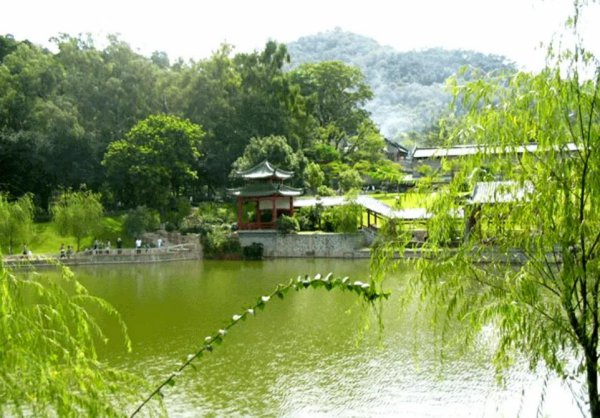 东莞十大免费景区推荐