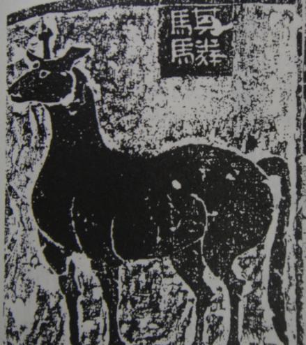麒麟是什么动物