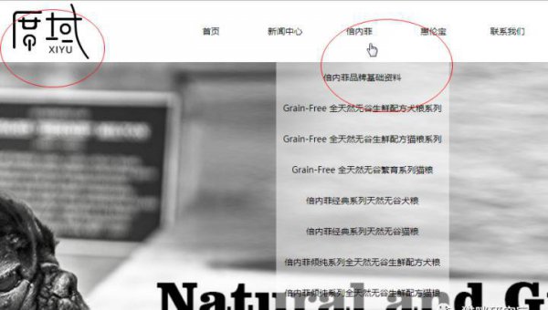 倍内菲猫粮怎么样营养高吗