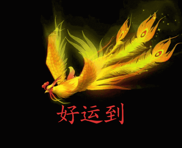 有好事要来的50种预兆