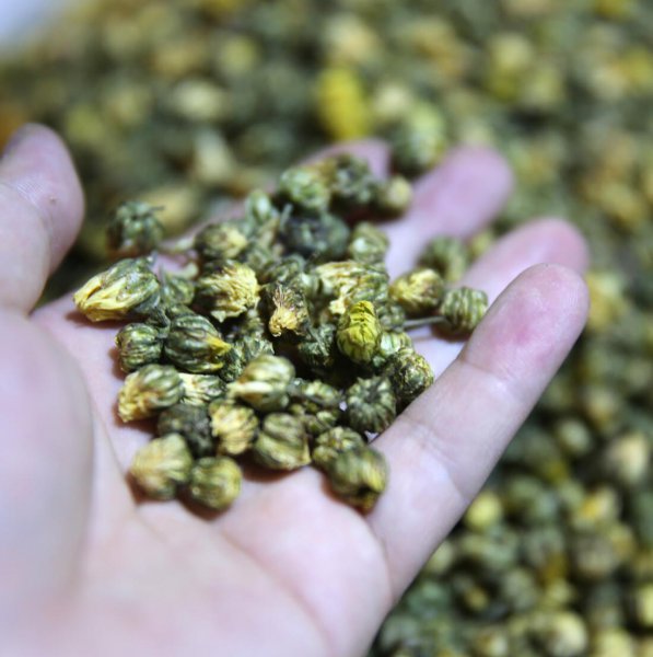 什么茶去火效果最好喝