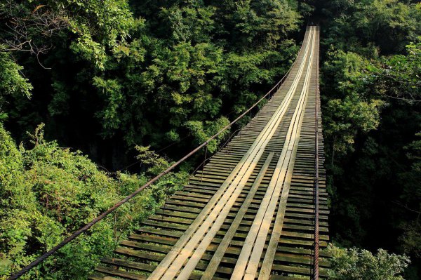 古代桥的由来介绍