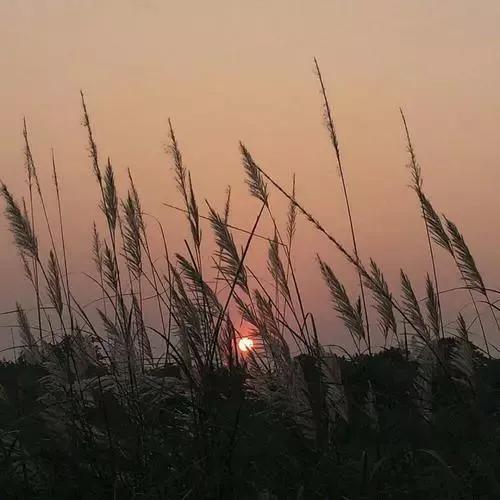励志歌曲排行榜前十名