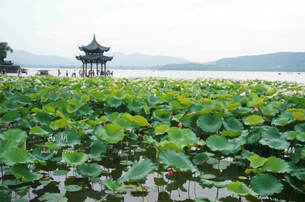 西湖历史背景简介