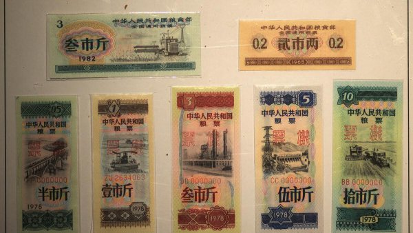 怎么查自己是工人还是干部身份