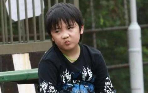 吴镇宇爸爸去哪儿事件