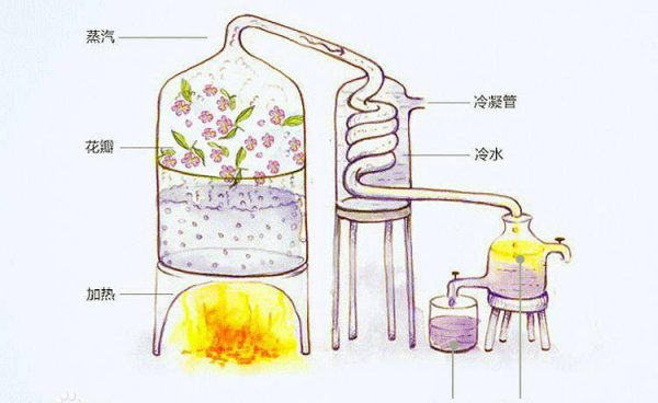 香水是怎么制作的过程