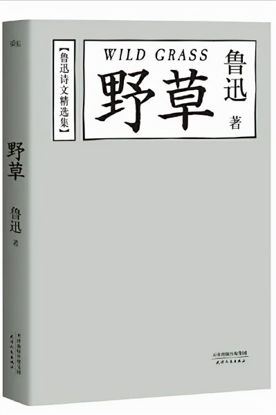 鲁迅的作品有哪些值得推荐