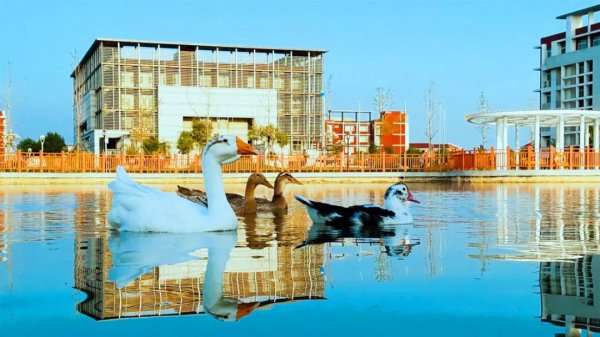 天津医科大学临床医学院学费