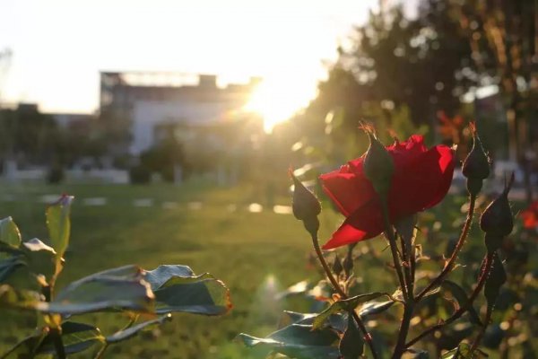 天津医科大学临床医学院学费