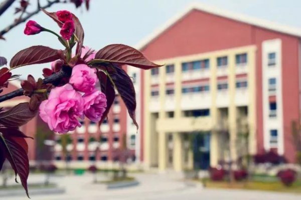 安徽理工大学在哪