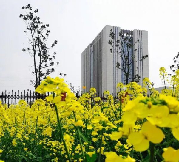 安徽理工大学在哪