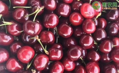 车厘子季节是哪几个月吃 一般每年车厘子几月上市