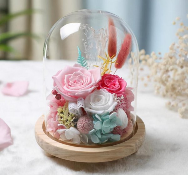 永生花是什么花介绍