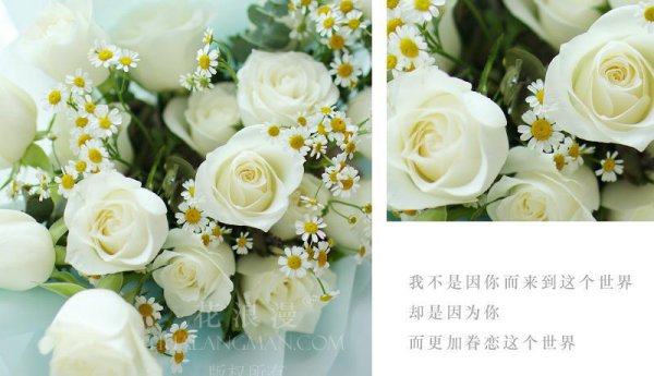 白玫瑰代表什么意思