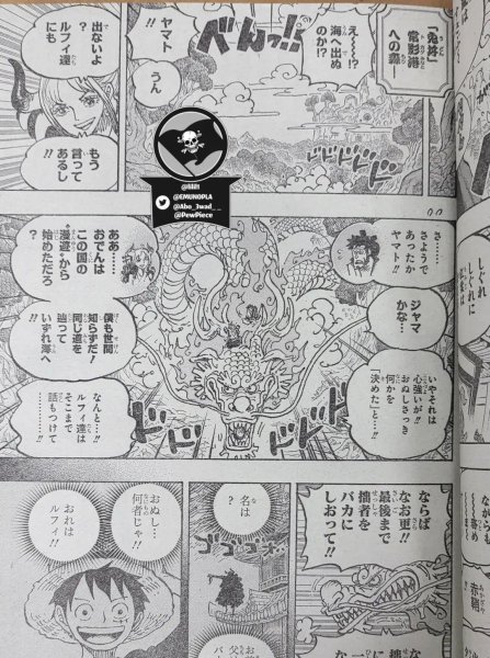 海贼王和之国篇从哪集开始