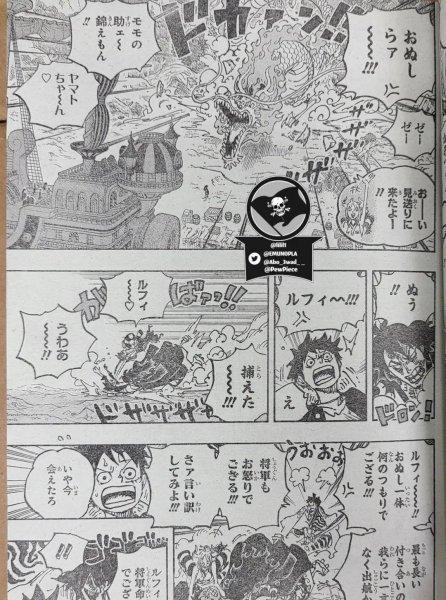 海贼王和之国篇从哪集开始