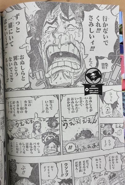 海贼王和之国篇从哪集开始