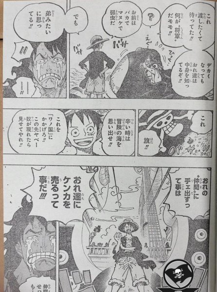 海贼王和之国篇从哪集开始