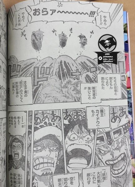 海贼王和之国篇从哪集开始