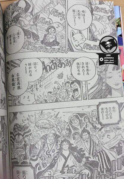 海贼王和之国篇从哪集开始