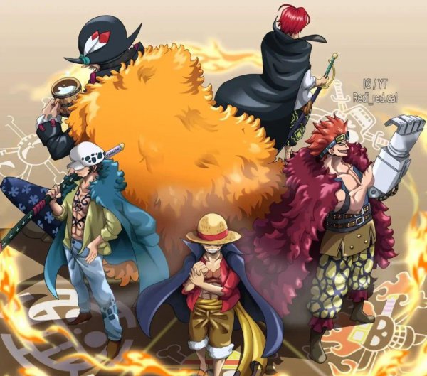 海贼王和之国篇从哪集开始