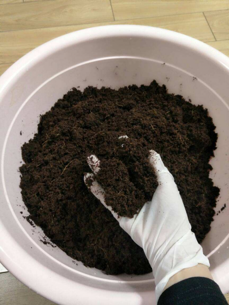 养兰花用什么植料最好