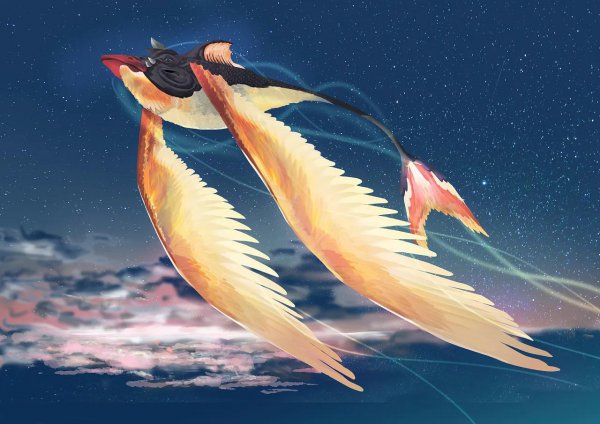 上古神兽有哪些