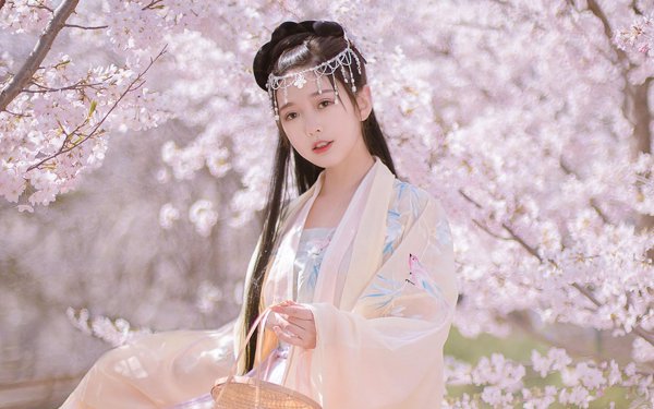咏桃花的最著名的诗词